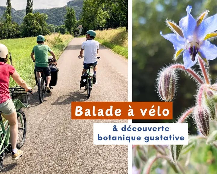Balade à vélo & découverte botanique gustative