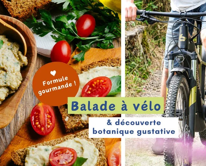 Balade à vélo & découverte botanique gustative - Formule gourmande 🌿🌼