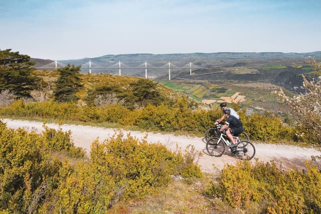 A bike trip?