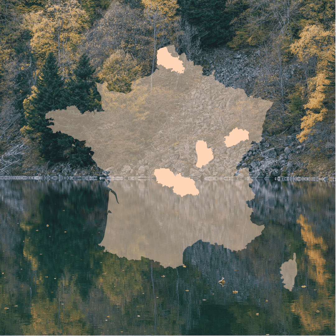 Dans ce guide, vous trouverez : 