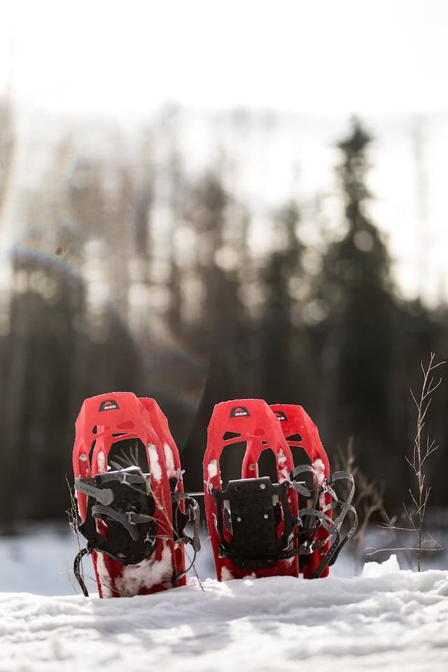 A bowl of snowshoes?