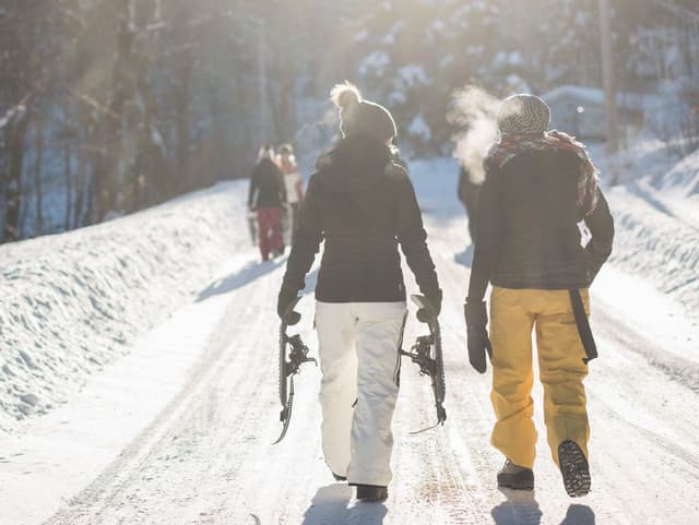 Family fun cold