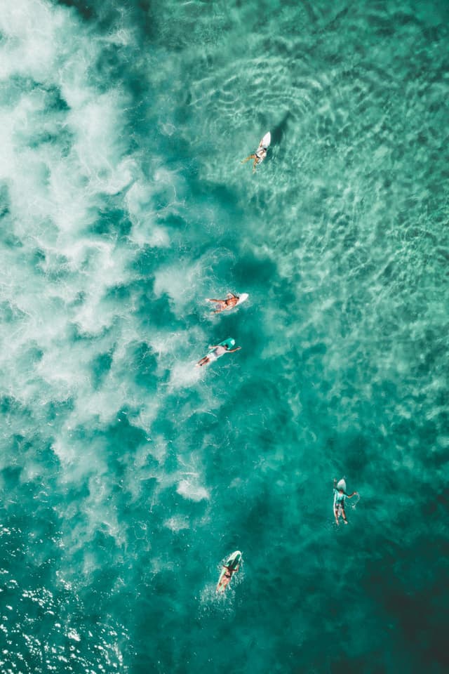 SEA BOARD
