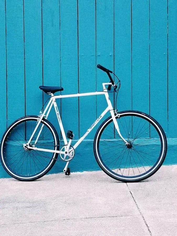 Comment bien choisir un <green> loueur de vélo </green> : Les clés pour une location réussie-image