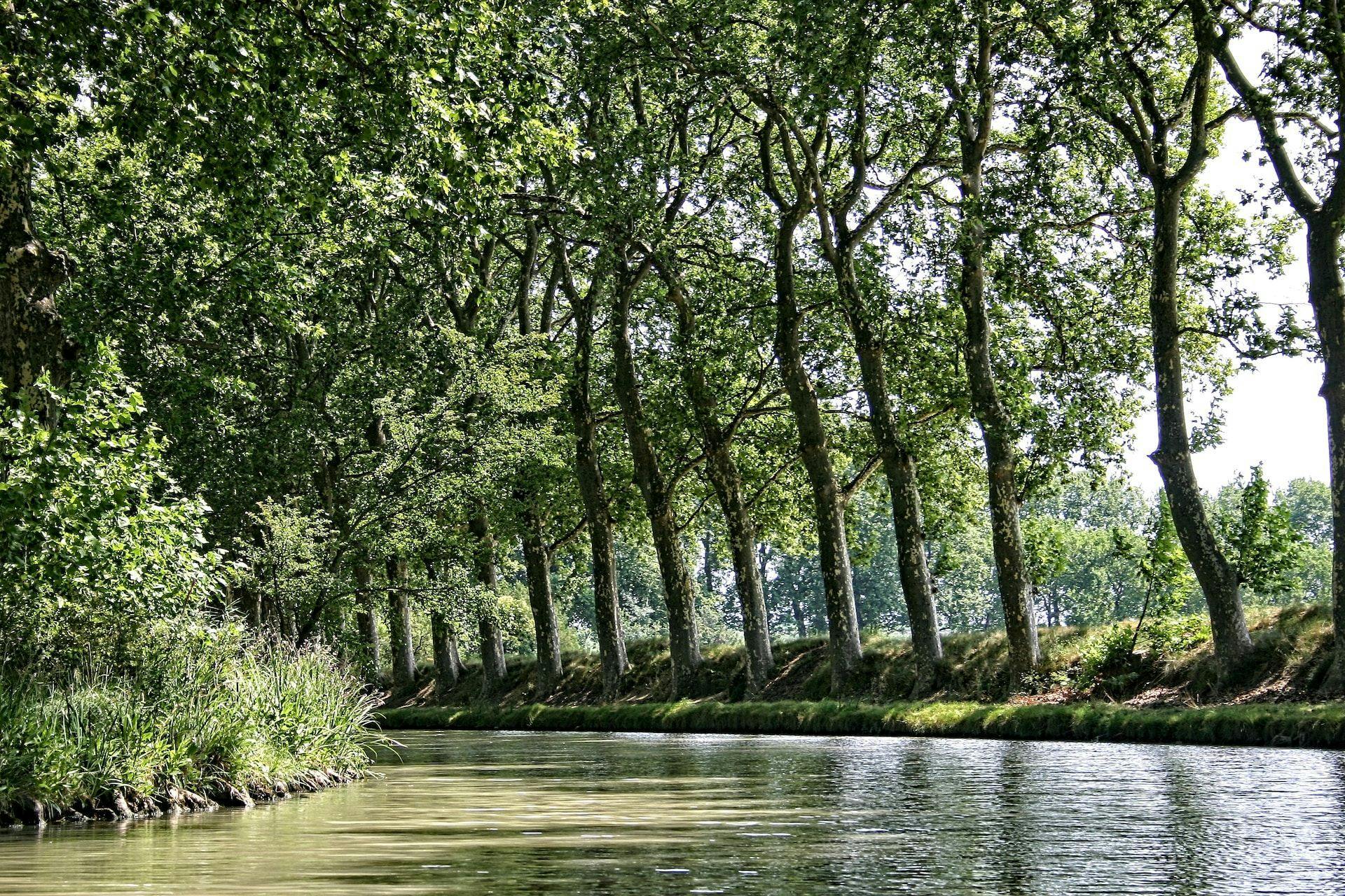 Nos idées de <green>balades sur le Canal du Midi</green> à vélo-image