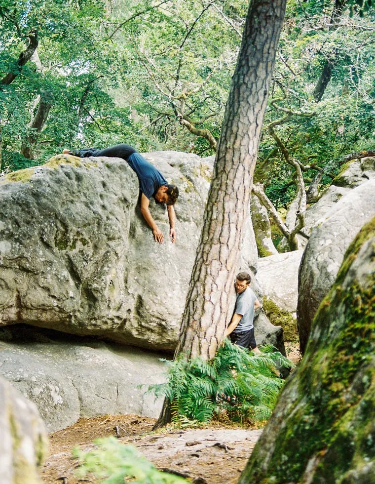 La Forêt de Fontainebleau et ses rochers d'escalade réputés 