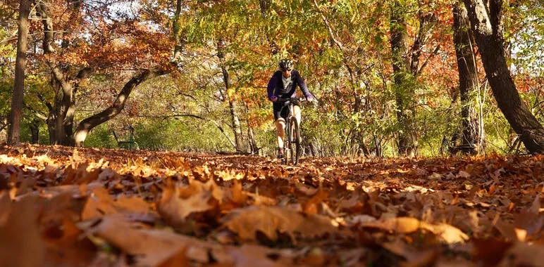 10 raisons pour lesquelles <red>faire du vélo en automne est incroyable</red>